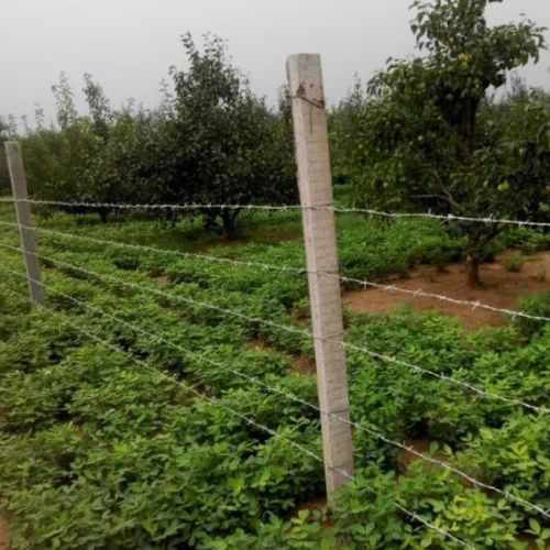 正反拧刺绳：增强稳定性的围栏设计