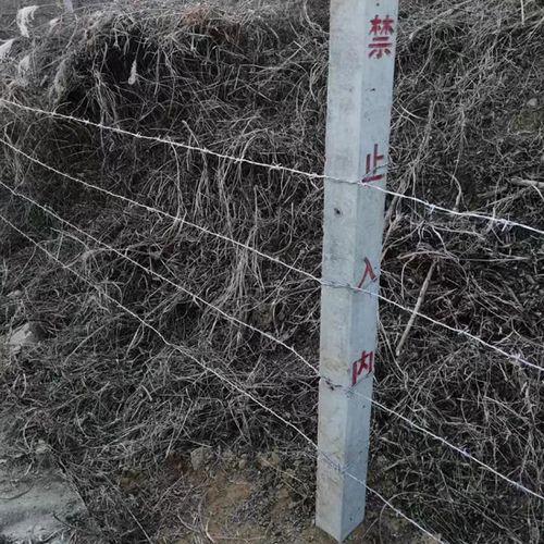 刺绳定制生产及特殊规格的满足